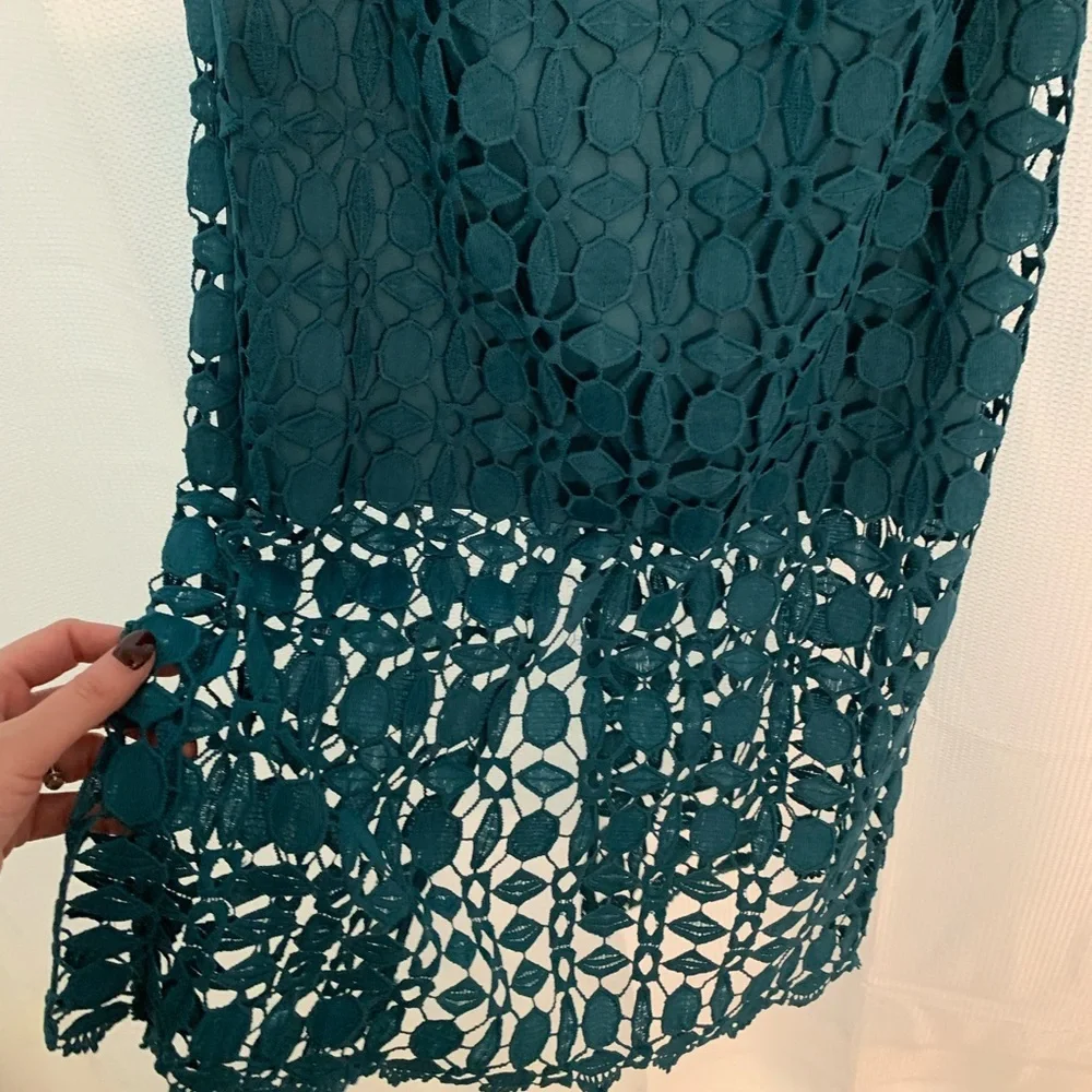 Nwot petal & pup Candice Strapless Lace Midi Dress - Picture 6 of 12